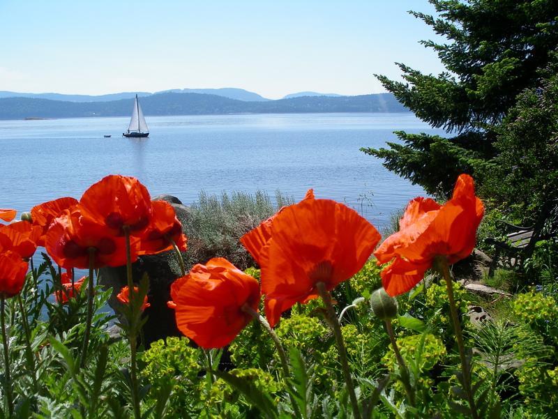 Serenity By The Sea Retreats Montague Harbour Extérieur photo